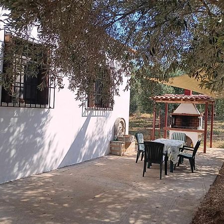 The Small House In The Olive Grove ليفوكاسترو المظهر الخارجي الصورة
