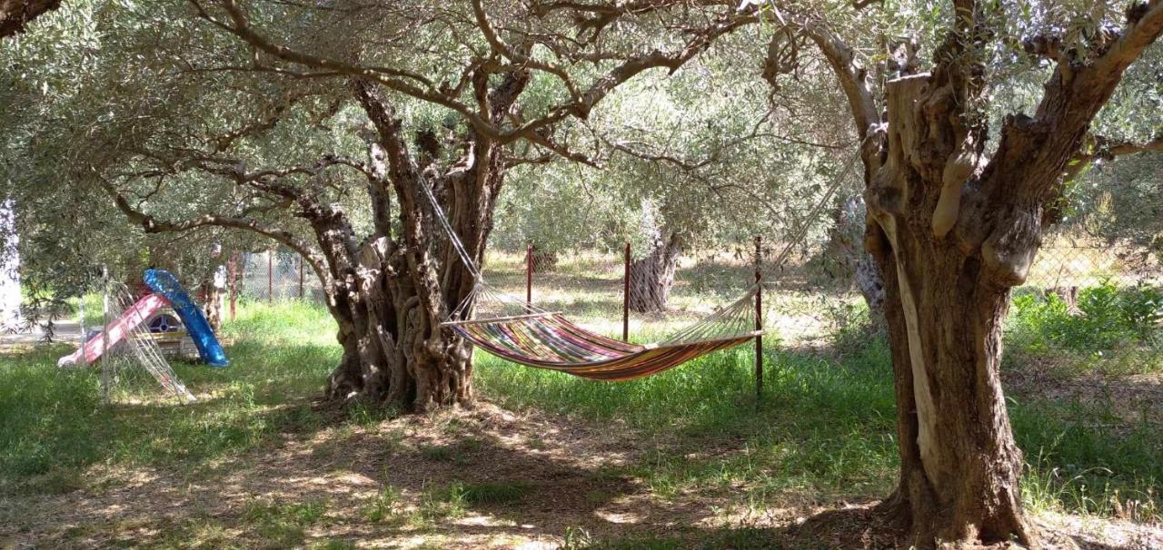 The Small House In The Olive Grove ليفوكاسترو المظهر الخارجي الصورة