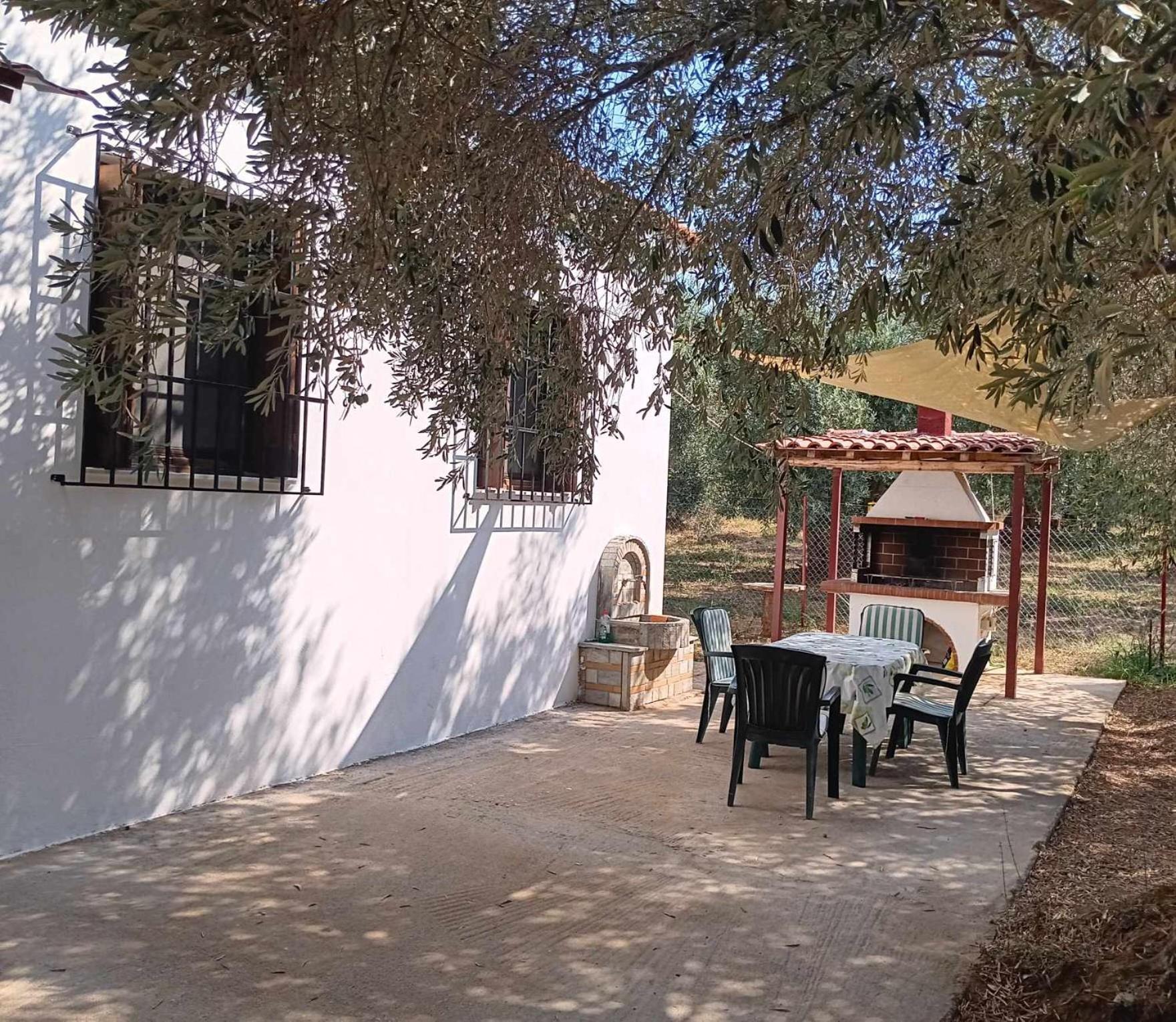 The Small House In The Olive Grove ليفوكاسترو المظهر الخارجي الصورة