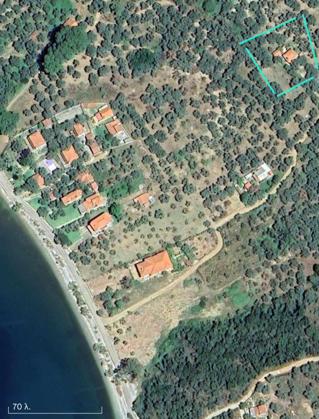 The Small House In The Olive Grove ليفوكاسترو المظهر الخارجي الصورة