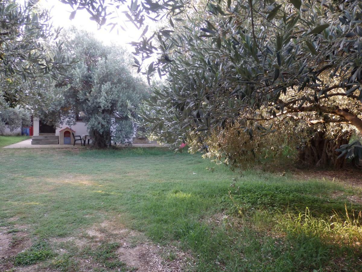 The Small House In The Olive Grove ليفوكاسترو المظهر الخارجي الصورة