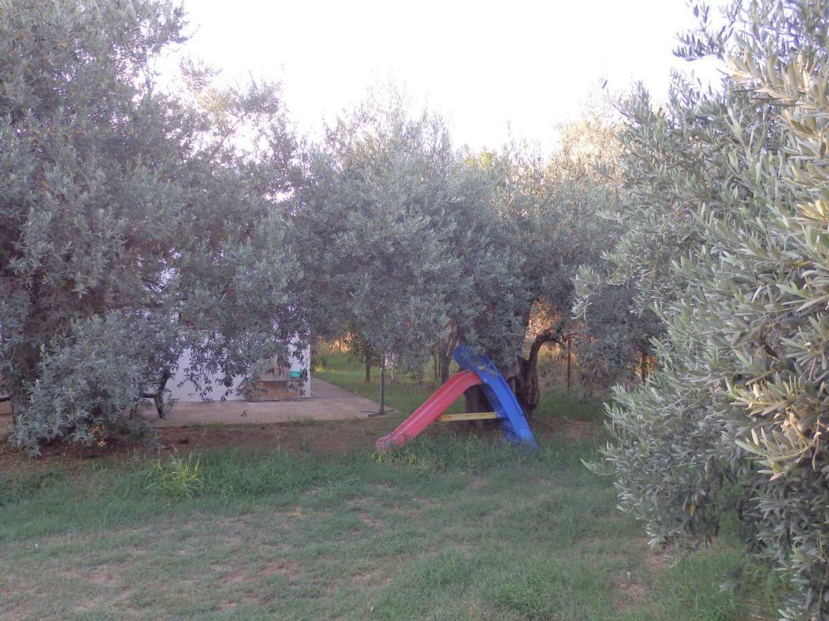 The Small House In The Olive Grove ليفوكاسترو المظهر الخارجي الصورة