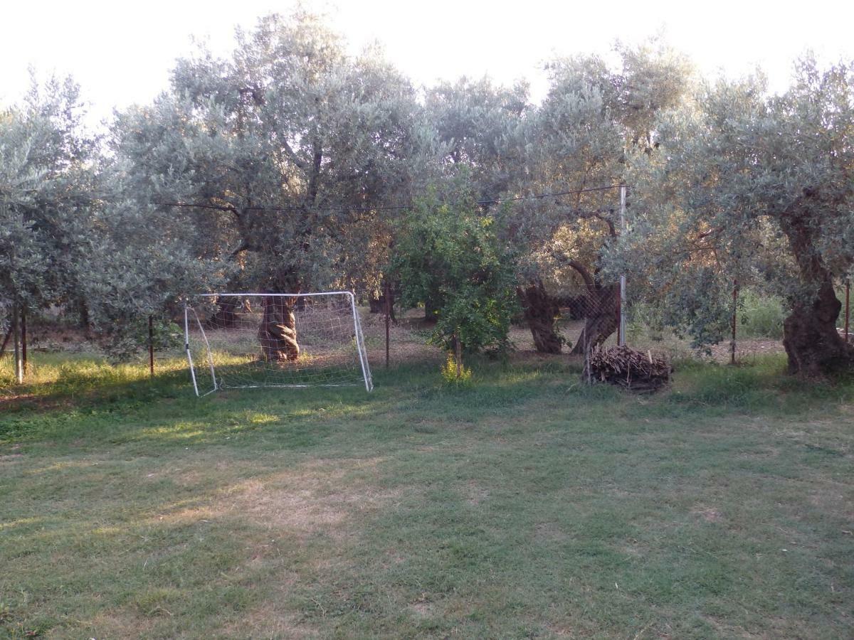 The Small House In The Olive Grove ليفوكاسترو المظهر الخارجي الصورة