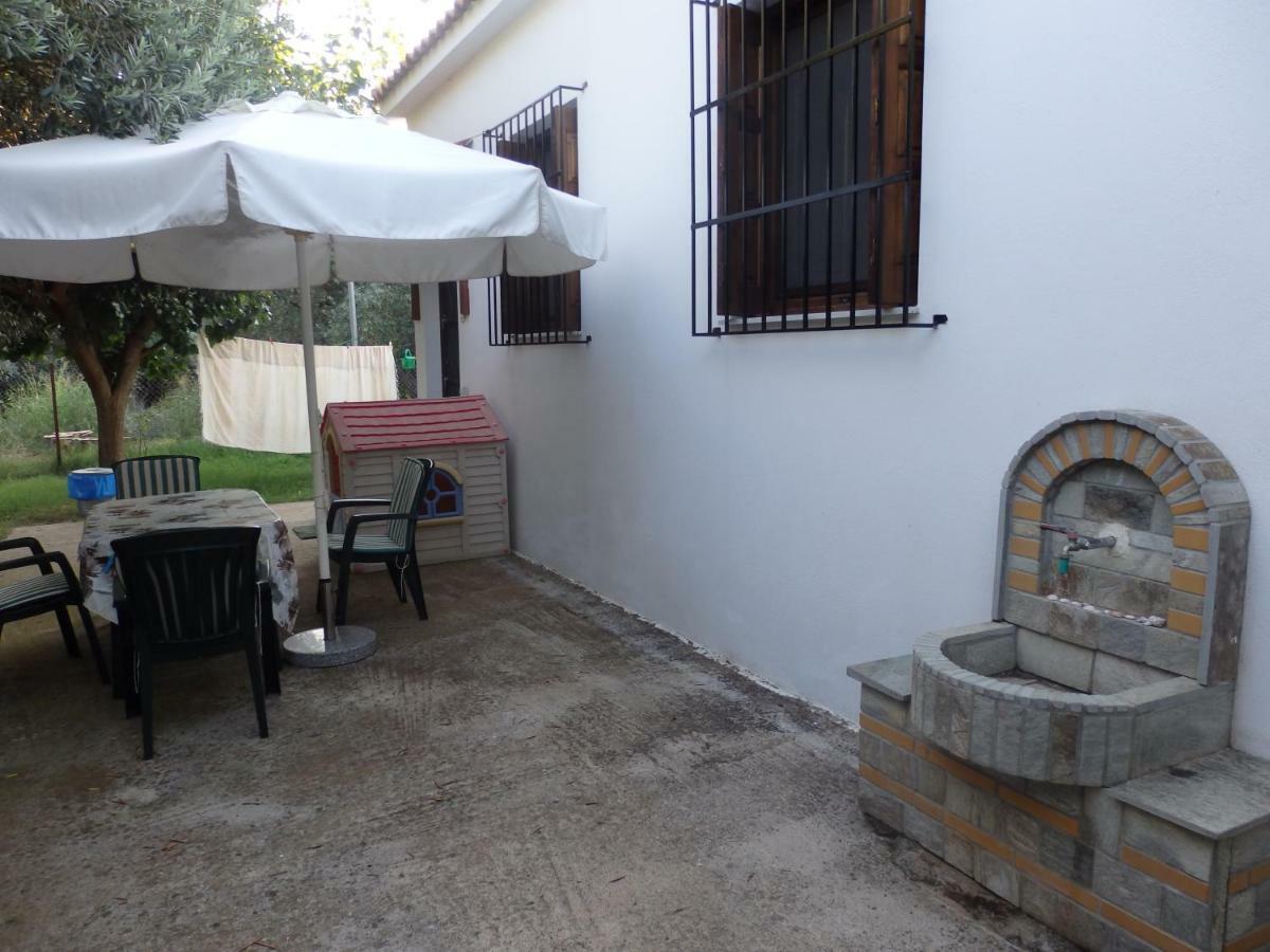 The Small House In The Olive Grove ليفوكاسترو المظهر الخارجي الصورة