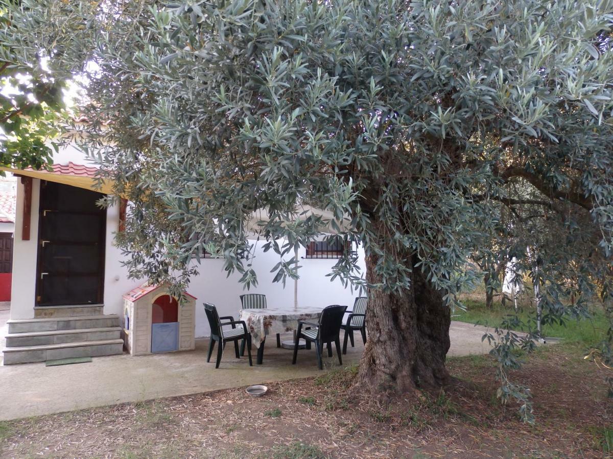 The Small House In The Olive Grove ليفوكاسترو المظهر الخارجي الصورة