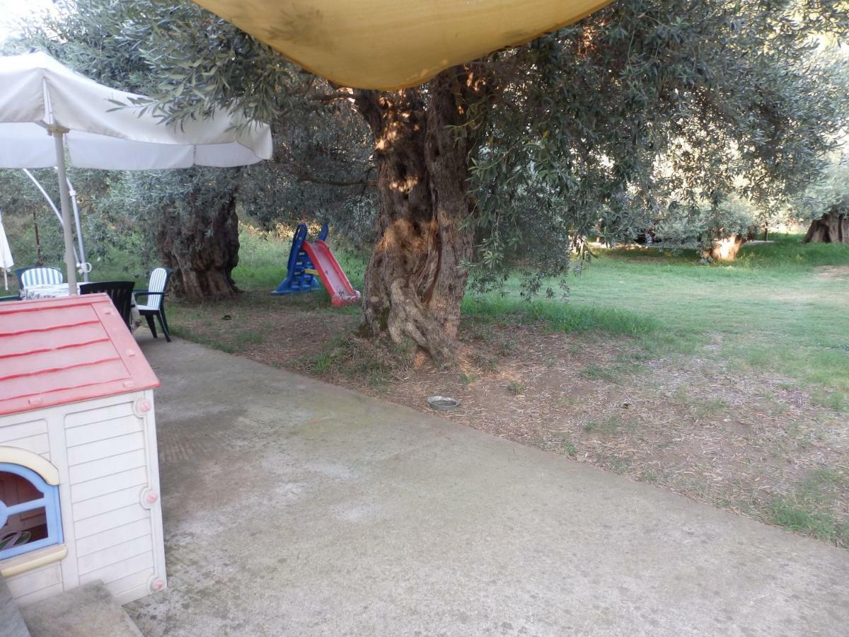 The Small House In The Olive Grove ليفوكاسترو المظهر الخارجي الصورة