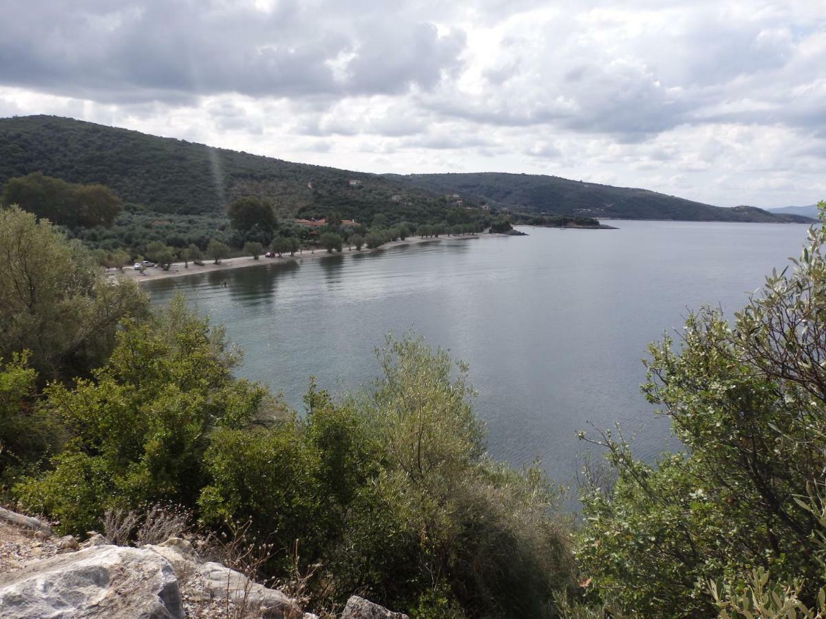 The Small House In The Olive Grove ليفوكاسترو المظهر الخارجي الصورة