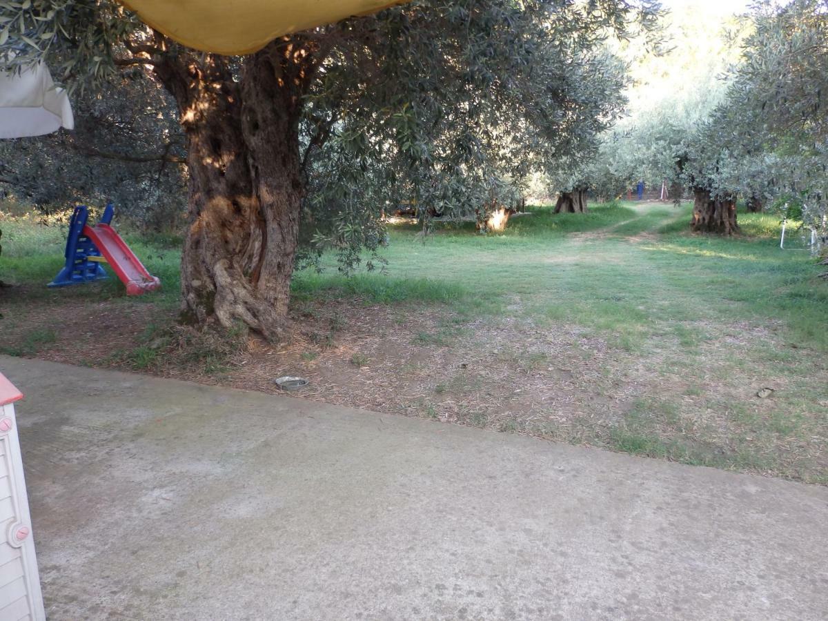 The Small House In The Olive Grove ليفوكاسترو المظهر الخارجي الصورة